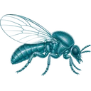Kriebelmücke - Logo der Seite kriebelmuecken.de